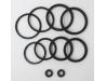 Brake caliper seal kit for one front caliper